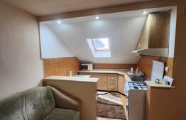 Apartament 1 camera, zona Valeria Peter Predescu
