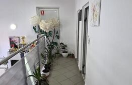 Cladire comerciala 350mp utili, str. Dornei 