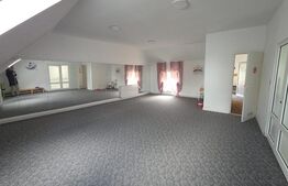 Cladire comerciala 350mp utili, str. Dornei 