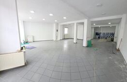 Cladire comerciala 350mp utili, str. Dornei 