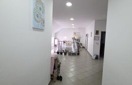 Cladire comerciala 350mp utili, str. Dornei 