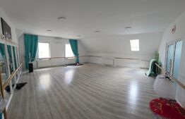 Cladire comerciala 350mp utili, str. Dornei 