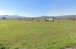 3 Parcele Teren Agricol în Chintelnic – Ideal Agricultură