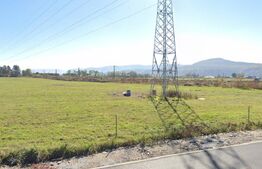 3 Parcele Teren Agricol în Chintelnic – Ideal Agricultură
