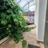 Casa de vânzare 5 camere Central - 198067CV - Poza 1 din 23 | BLITZ Bistriţa | Poza20