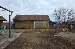 Două case de vânzare, curte comună, 4 camer 110mp, 50 ari  Cristeștii Ciceului