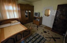 Două case de vânzare, curte comună, 4 camer 110mp, 50 ari  Cristeștii Ciceului