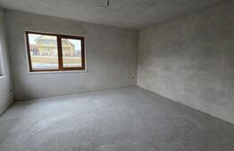 Două case de vânzare, curte comună, 4 camer 110mp, 50 ari  Cristeștii Ciceului