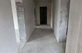 Două case de vânzare, curte comună, 4 camer 110mp, 50 ari  Cristeștii Ciceului