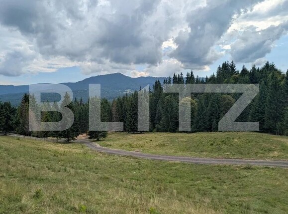 Teren de vânzare Nord-Est - 198199TV | BLITZ Bistriţa | Poza3