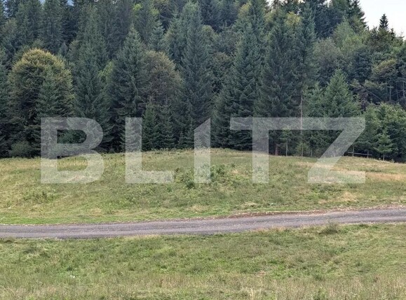 Teren de vânzare Nord-Est - 198199TV | BLITZ Bistriţa | Poza1