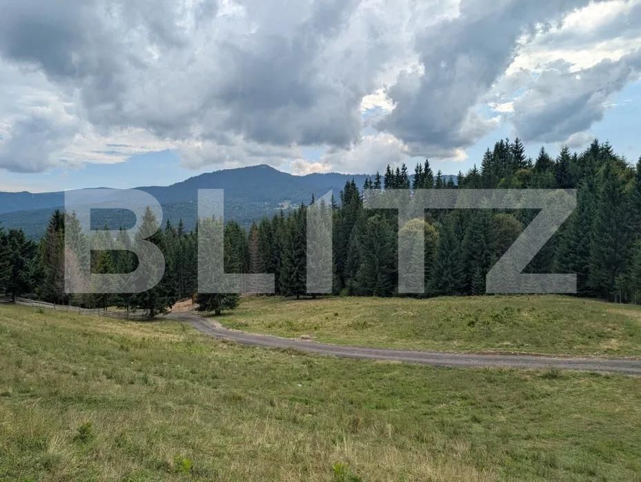 Teren de vânzare Nord-Est - 198199TV | BLITZ Bistriţa | Poza3