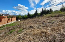 Teren intravilan de vanzare, 680 mp, drumul Sigmir