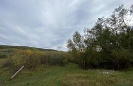 Teren 77 ari | Zona Valea Rusului | Posibilitate parcelare în 2 loturi