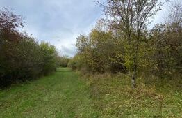 Teren 77 ari | Zona Valea Rusului | Posibilitate parcelare în 2 loturi