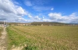 Teren Extravilan în Apropiere de Jelna – 25.800 mp, cu Utilități