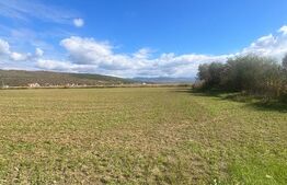 Teren Extravilan în Apropiere de Jelna – 25.800 mp, cu Utilități