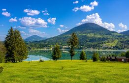 Exclusivitate - Teren intravilan, 10,000 mp - Colibița