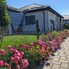 Casa de vânzare 3 camere Vest - 198287CV - Poza 1 din 9 | BLITZ Bistriţa | Poza8