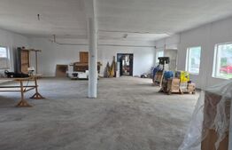 Hala Industriala 200mp utili + 400mp curte JELNA