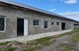 Hala Industriala 200mp utili + 400mp curte JELNA