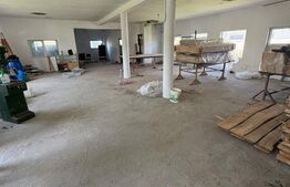 Hala Industriala 400 mp utili + 400 mp curte, JELNA