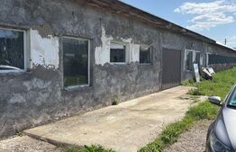 Hala Industriala 400 mp utili + 400 mp curte, JELNA