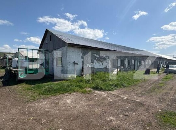 Spațiu industrial de închiriat Sud - 198360SII | BLITZ Bistriţa | Poza1