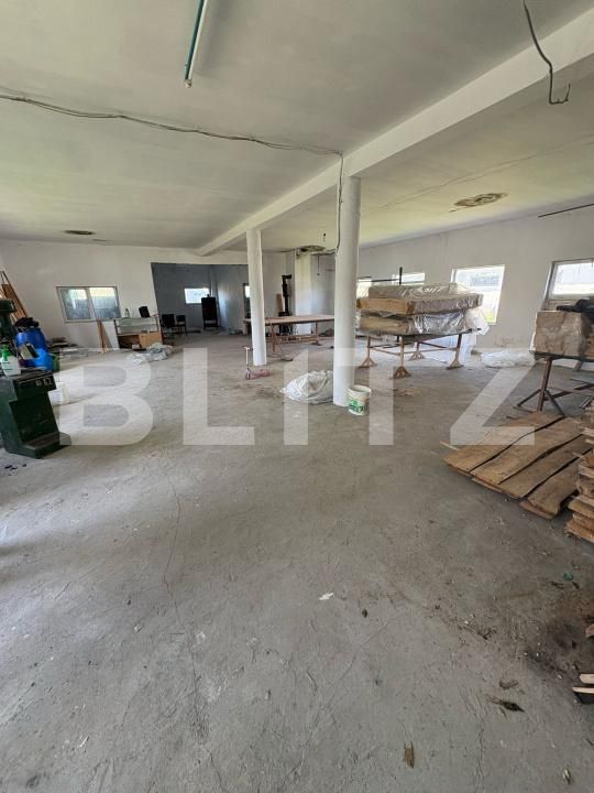 Spațiu industrial de închiriat Sud - 198360SII | BLITZ Bistriţa | Poza6