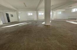 Demisol spațios de 259 mp de închiriat Centura– ideal pentru birouri sau depozit