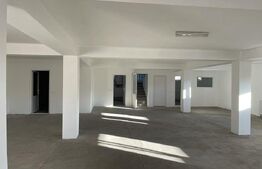 Demisol spațios de 259 mp de închiriat Centura– ideal pentru birouri sau depozit