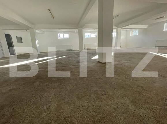 Spațiu comercial de închiriat Industrială - 198361SIC | BLITZ Bistriţa | Poza1
