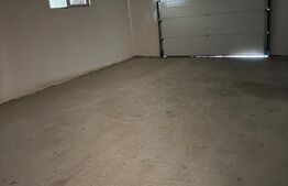 Hala/Spatiu comercial 160mp Subcetate 