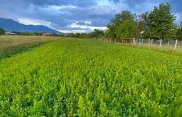 Teren intravilan de vânzare – Josenii Bârgăului