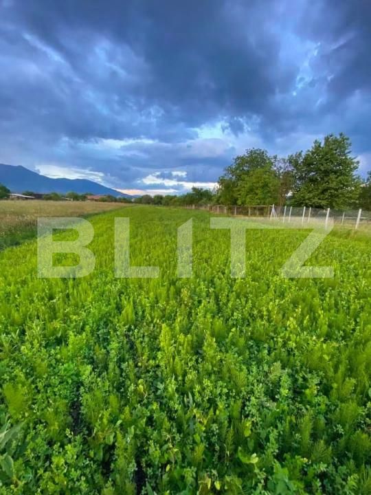 Teren de vânzare Exterior Nord - 198509TV | BLITZ Bistriţa | Poza2