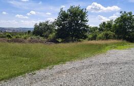 Teren intravilan de vânzare – 1.000 mp (10 ari) | Zona Subcetate 