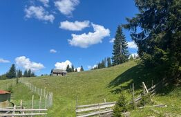 De vanzare teren exceptional la Piatra Fantanele - langa Castel Dracula
