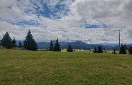 Teren de vanzare Piatra Fantanele