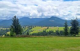 Teren de vanzare Piatra Fantanele