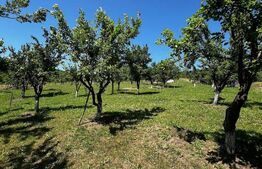 Livada in Arcalia, langa padure - 4.000 mp