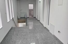 Spatiu comercial cu diverse destinatii de inchiriat, zona Calea Moldovei, 240 mp