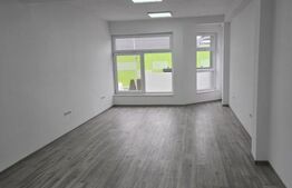 Spatiu comercial cu diverse destinatii de inchiriat, zona Calea Moldovei, 240 mp