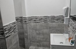 Spatiu comercial cu diverse destinatii de inchiriat, zona Calea Moldovei, 240 mp