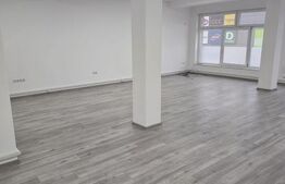 Spatiu comercial cu diverse destinatii de inchiriat, zona Calea Moldovei, 240 mp