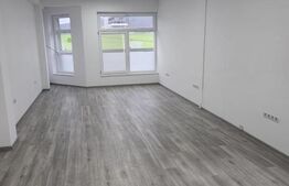 Spatiu comercial cu diverse destinatii de inchiriat, zona Calea Moldovei, 240 mp