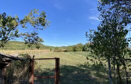 Casa de vanzare, 90 mp, 14 arii de teren, zona Sintereag