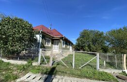 Casa de vânzare 2 camere Rebrisoara - 204861CV | BLITZ Bistriţa | Poza1