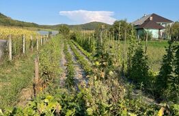 Casa de vanzare, 90 mp, 14 arii de teren, zona Sintereag