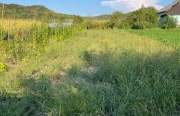 Casa de vanzare, 90 mp, 14 arii de teren, zona Sintereag