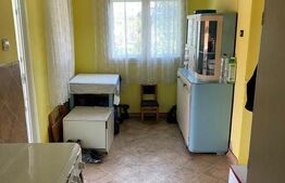 Casa de vanzare, 90 mp, 14 arii de teren, zona Sintereag